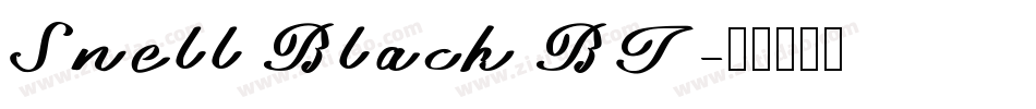 Snell Black BT字体转换